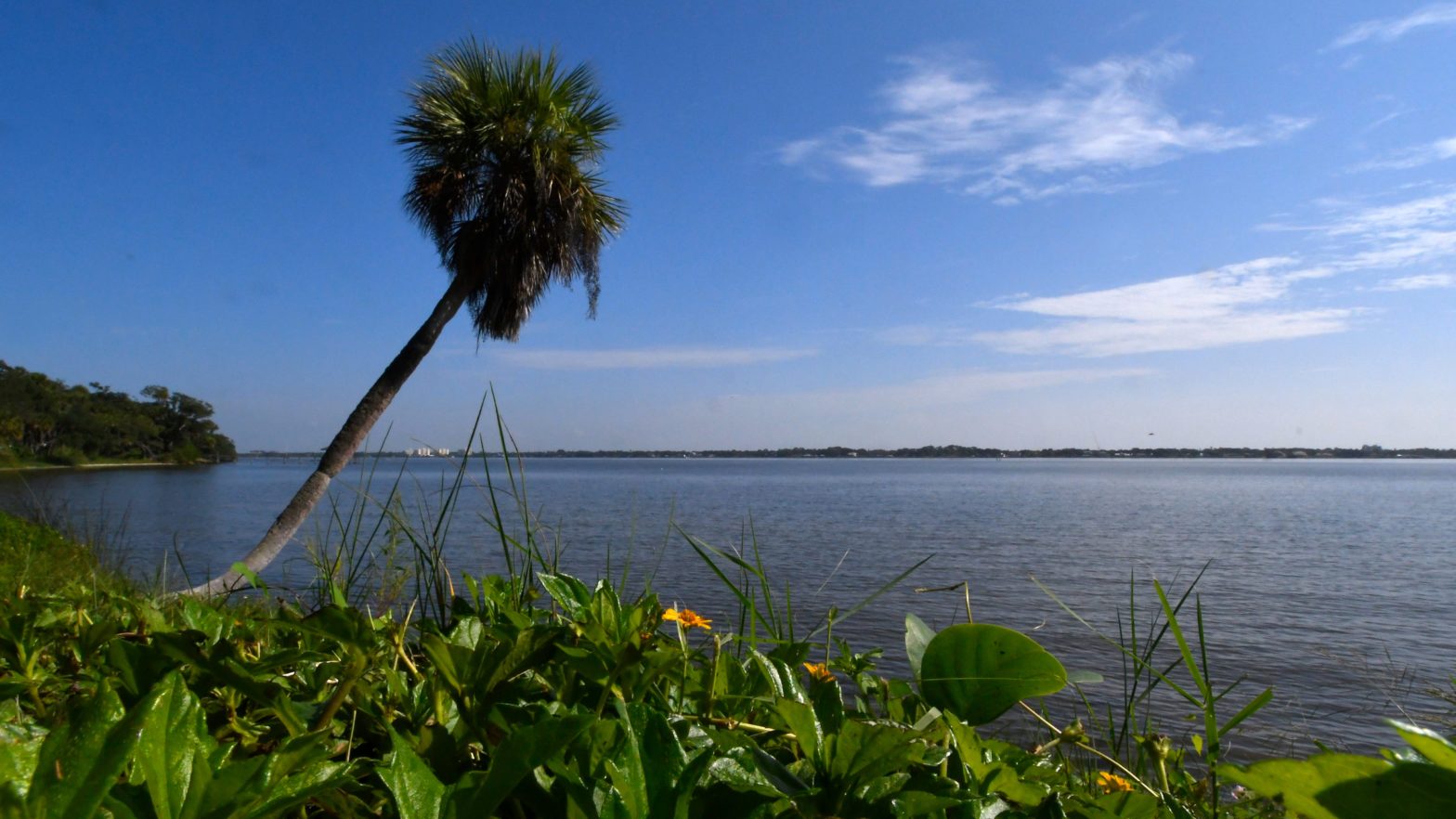 Indian River Lagoon from Rockledge by Short