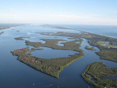 Indian River Lagoon wetlands