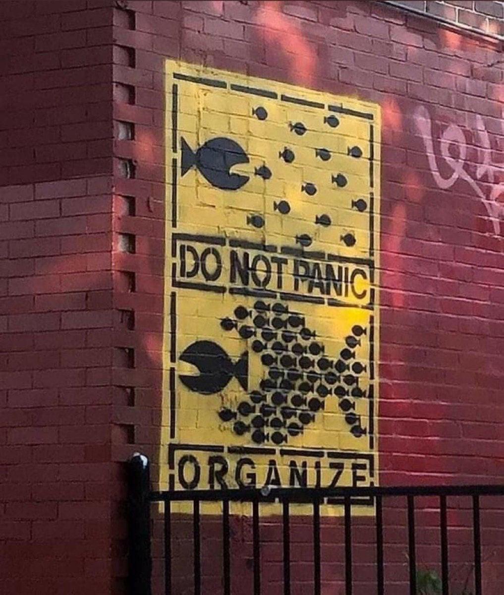 Don't Panic Organize