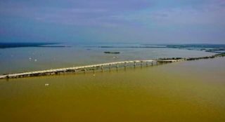 Titusville algae bloom